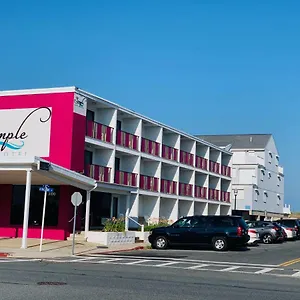 Simple Life ** Ocean City